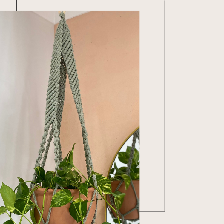 Joni Sage Green Large Macrame Plant Hanger