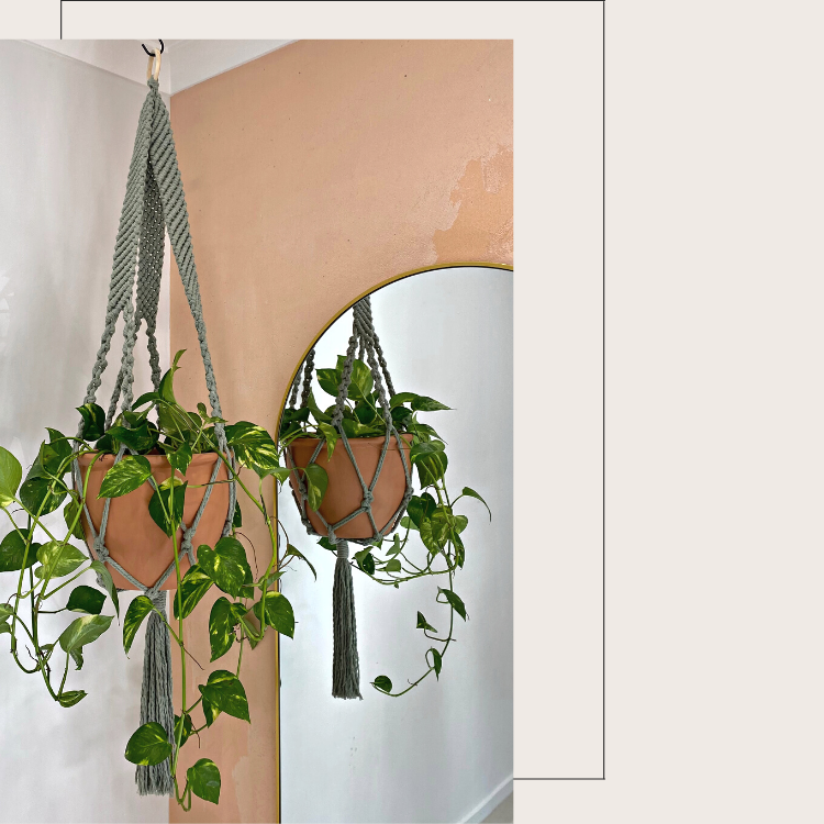 Joni Sage Green Large Macrame Plant Hanger